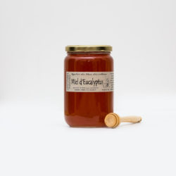 miel_du_sud-48 Miel d'Eucalyptus 1kg avec cuillère à miel en bois